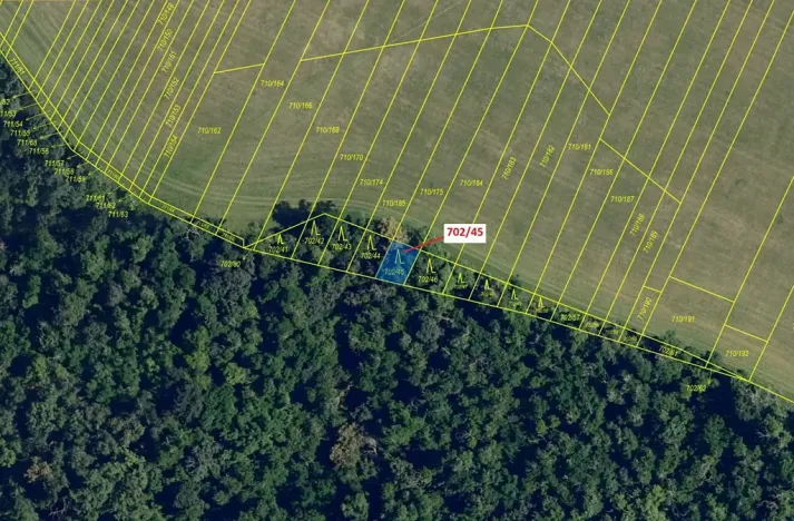 Dražba lesa, Čučice, 103 m2