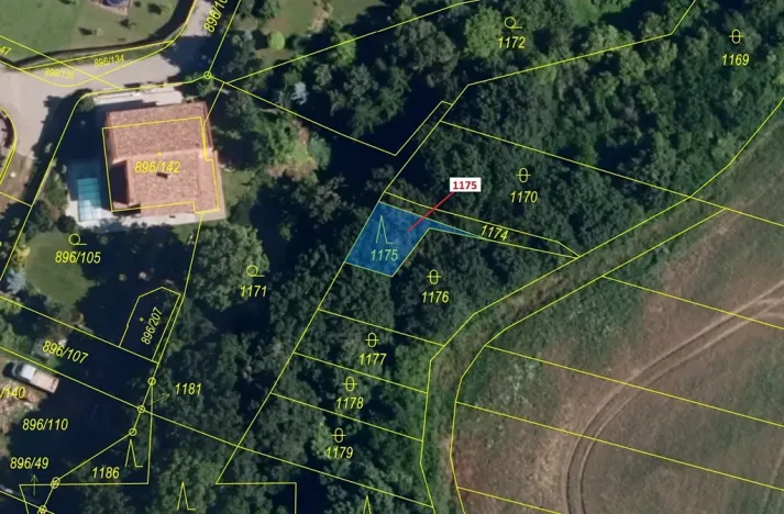 Dražba lesa, Babice u Rosic, 85 m2