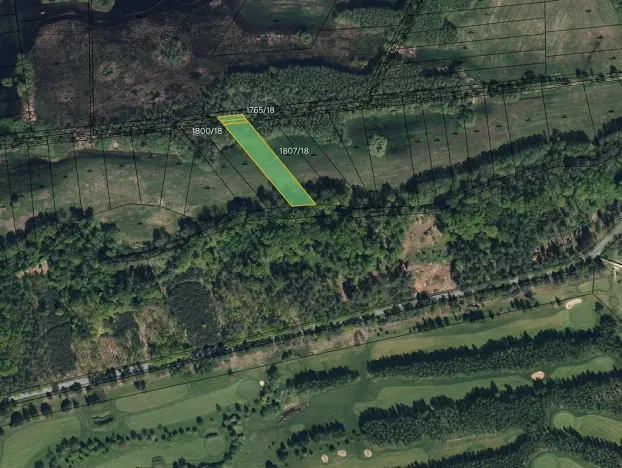 Prodej louky, Lázně Bohdaneč, 10075 m2