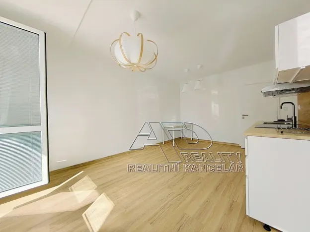Pronájem bytu 1+1, České Budějovice, Budivojova, 49 m2