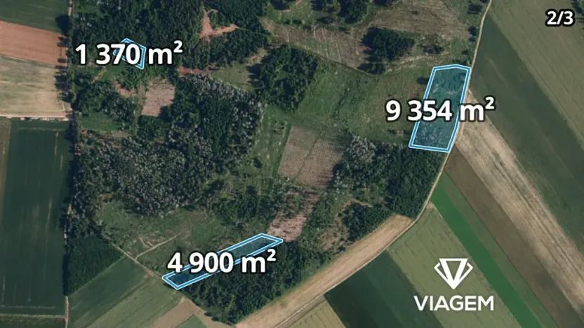 Prodej podílu lesa, Radkovice u Budče, 12665 m2
