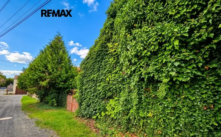 Prodej rodinného domu, Běleč, 200 m2