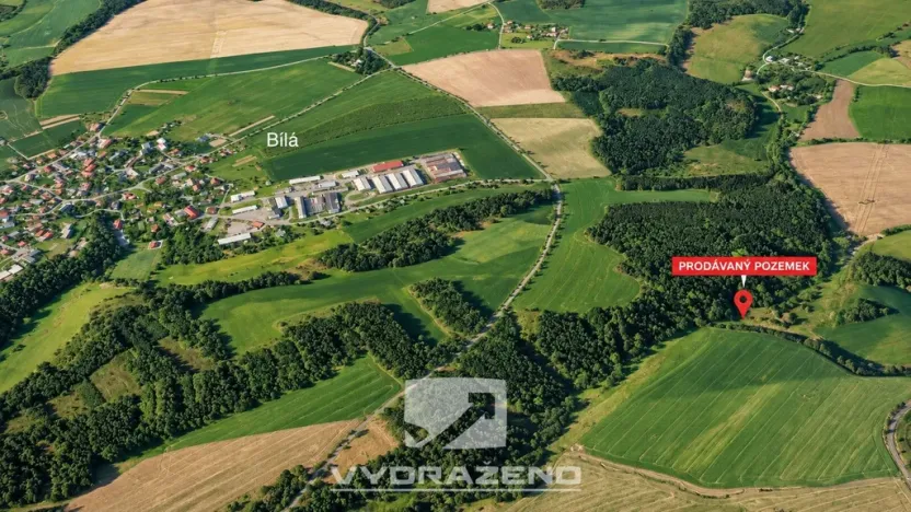 Prodej louky, Bílá - Petrašovice, 3277 m2