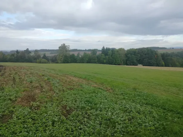 Prodej louky, Nekoř, 15200 m2