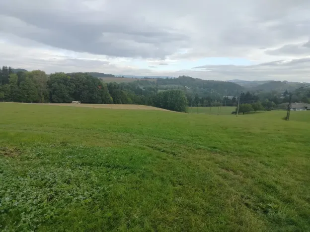 Prodej louky, Nekoř, 15200 m2
