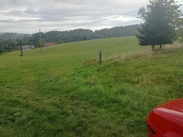 Prodej louky, Nekoř, 15200 m2
