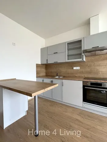 Pronájem bytu 2+kk, Brno, Vídeňská, 50 m2
