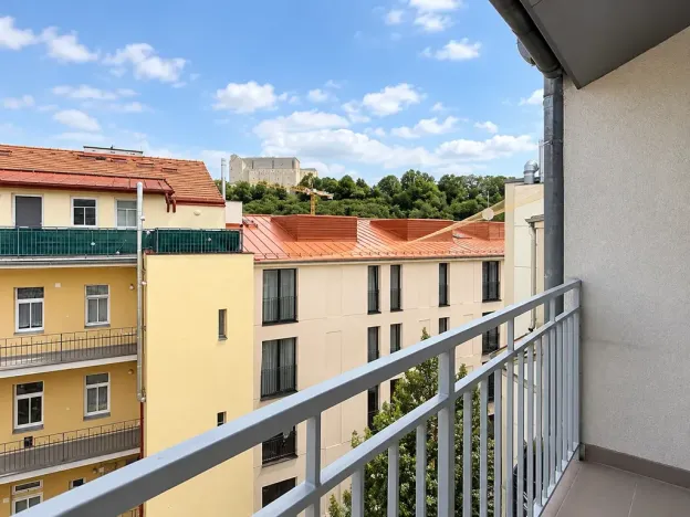 Pronájem bytu 2+1, Praha - Žižkov, Milíčova, 53 m2