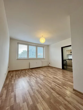 Pronájem bytu 1+1, Ostrava - Moravská Ostrava, Šalamounská, 31 m2