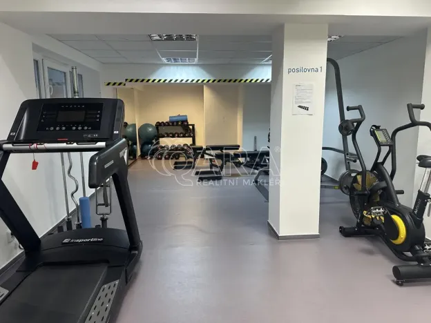 Pronájem bytu 1+kk, Praha - Jinonice, Peroutkova, 22 m2