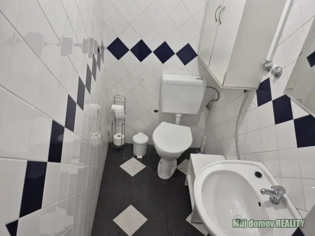 Pronájem bytu 3+kk, Praha - Karlín, Křižíkova, 75 m2