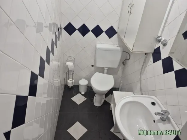 Pronájem činžovního domu, Praha - Karlín, Křižíkova, 650 m2