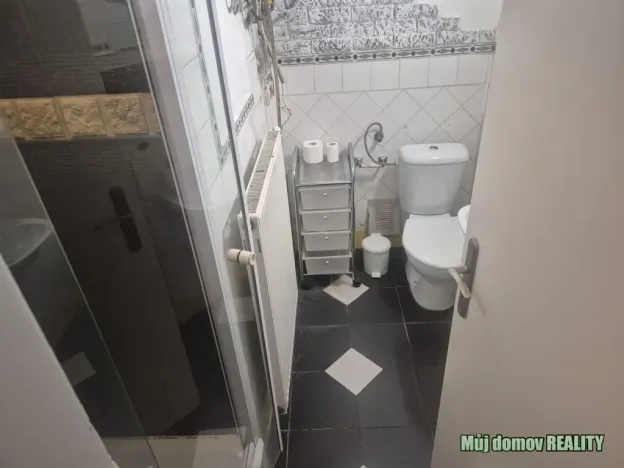 Pronájem činžovního domu, Praha - Karlín, Křižíkova, 650 m2