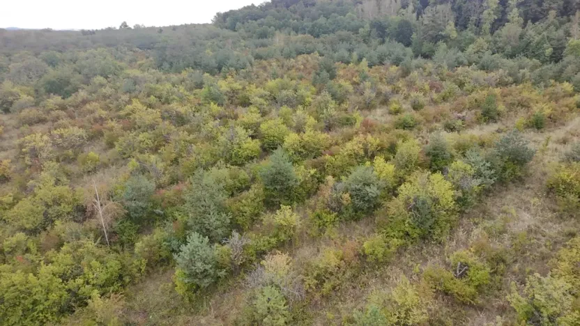 Prodej sadu/vinice, Dobříň, 42877 m2