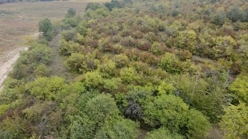 Prodej sadu/vinice, Dobříň, 42877 m2