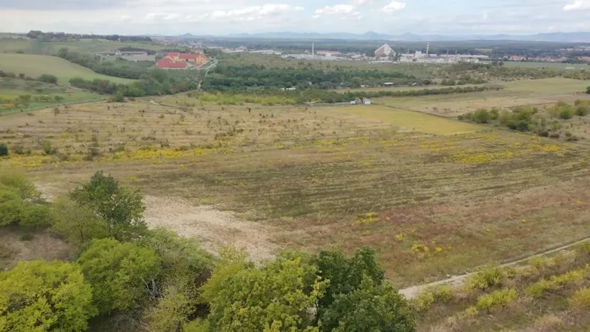 Prodej sadu/vinice, Dobříň, 42877 m2