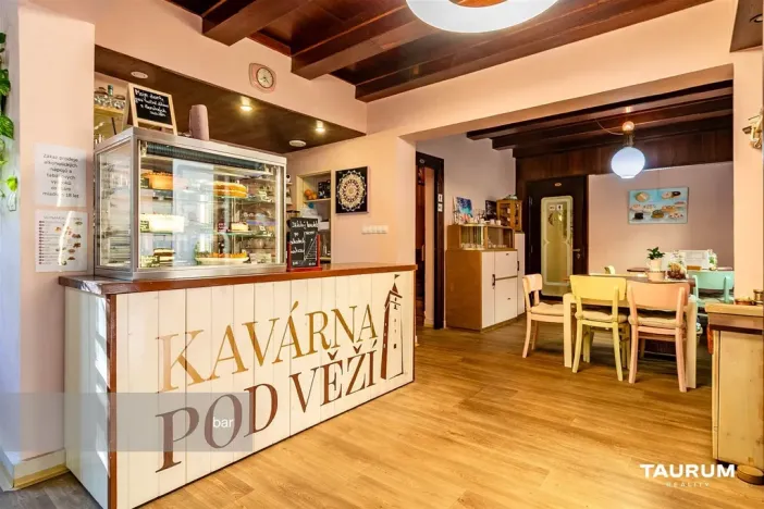 Prodej rodinného domu, Plzeň - Vnitřní Město, Pražská, 133 m2