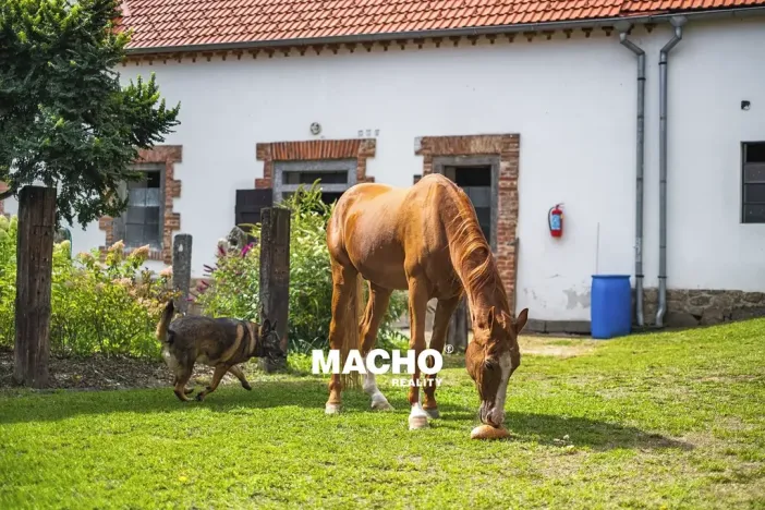Prodej zemědělské usedlosti, Žďár, 181 m2