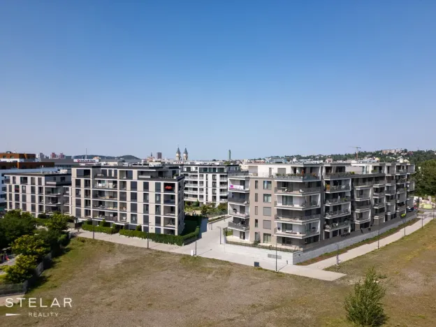 Pronájem bytu 2+kk, Ostrava - Moravská Ostrava, F. X. Riepla, 53 m2