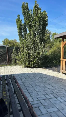 Prodej pozemku pro bydlení, Most, Mlýnská, 237 m2
