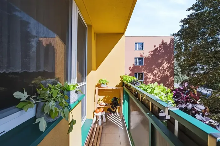 Prodej bytu 3+1, Brno, Gabriely Preissové, 70 m2