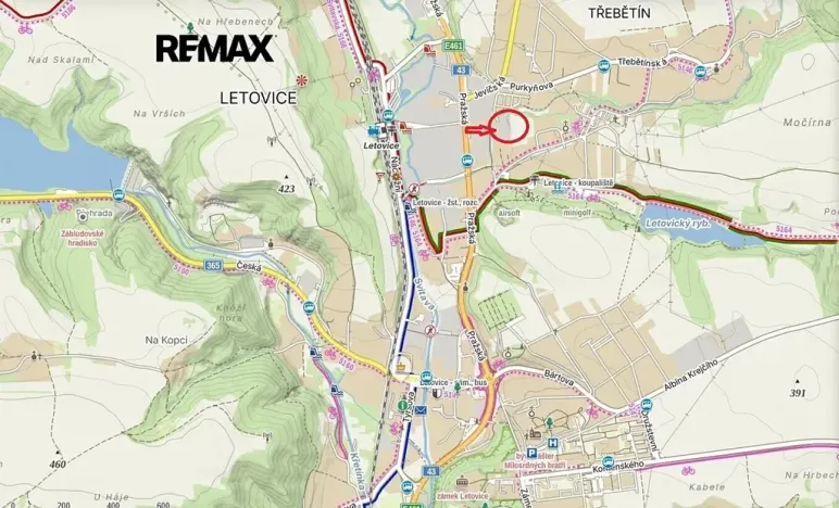 Prodej vícegeneračního domu, Letovice, Pražská, 330 m2