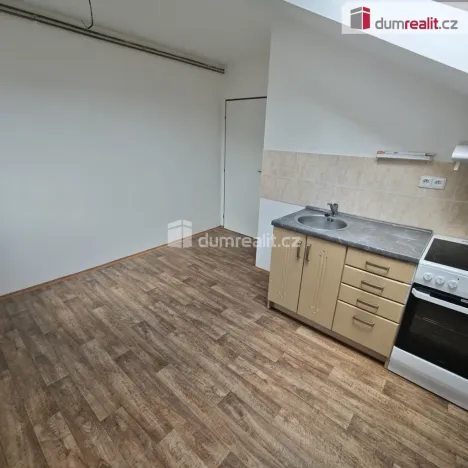 Pronájem bytu 1+1, Děčín - Děčín X-Bělá, Družstevní, 33 m2