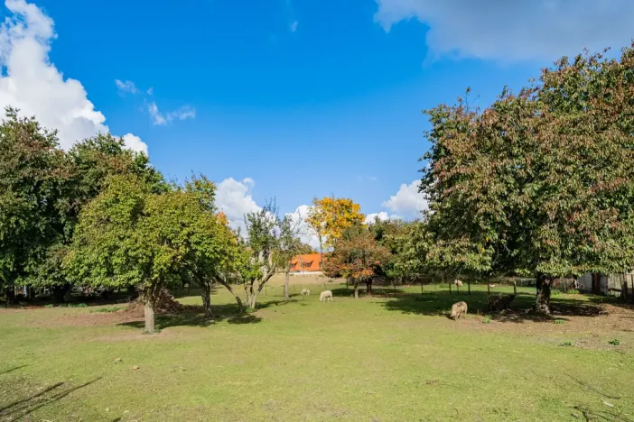 Prodej činžovního domu, Chlumec nad Cidlinou - Chlumec nad Cidlinou I, Klicperovo náměstí, 700 m2