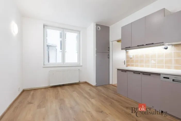 Pronájem bytu 2+1, Opava - Předměstí, Olomoucká, 73 m2