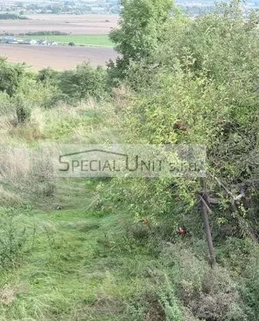 Prodej rodinného domu, Dobrovice - Holé Vrchy, 250 m2