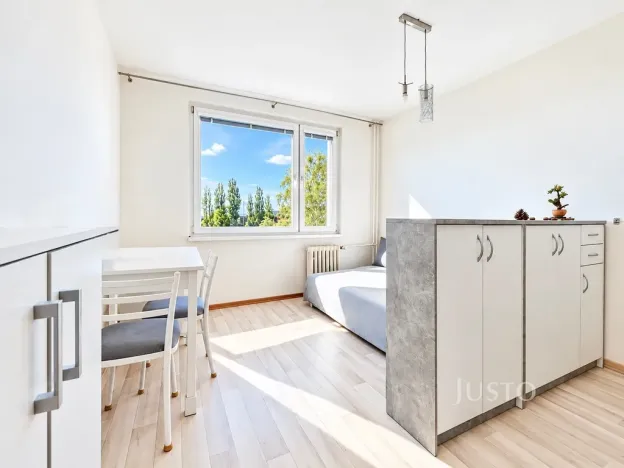 Prodej bytu 1+kk, Ústí nad Labem - Ústí nad Labem-centrum, SNP, 20 m2