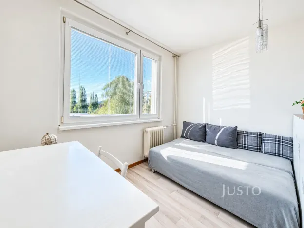 Prodej bytu 1+kk, Ústí nad Labem - Ústí nad Labem-centrum, SNP, 20 m2