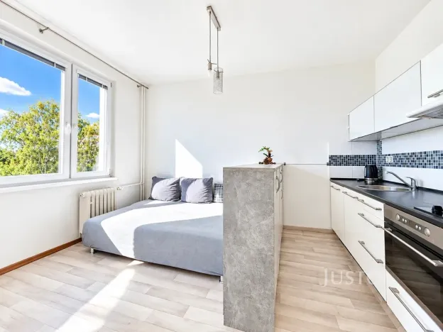 Prodej bytu 1+kk, Ústí nad Labem - Ústí nad Labem-centrum, SNP, 20 m2