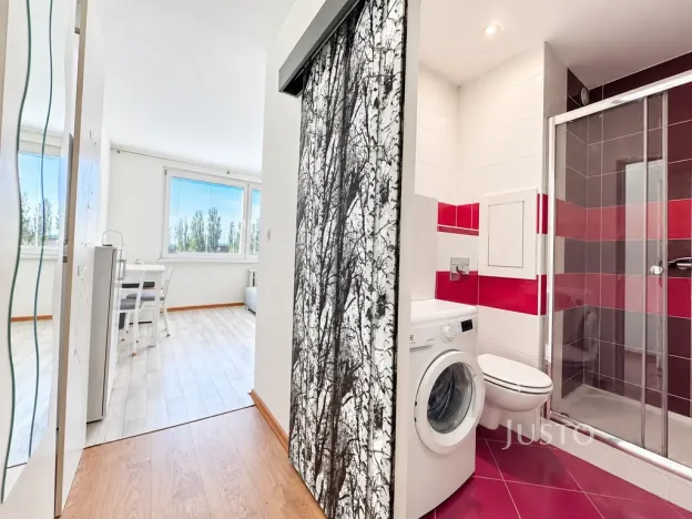Prodej bytu 1+kk, Ústí nad Labem - Ústí nad Labem-centrum, SNP, 20 m2