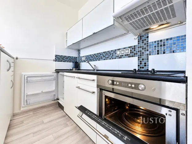 Prodej bytu 1+kk, Ústí nad Labem - Ústí nad Labem-centrum, SNP, 20 m2