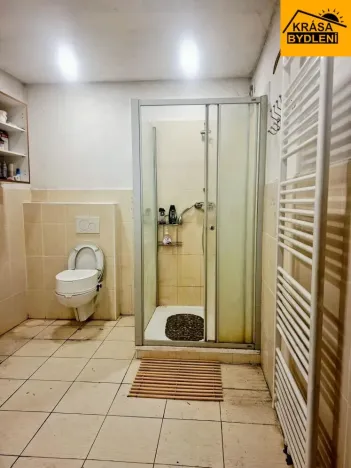 Prodej zemědělského objektu, Loučany, 250 m2
