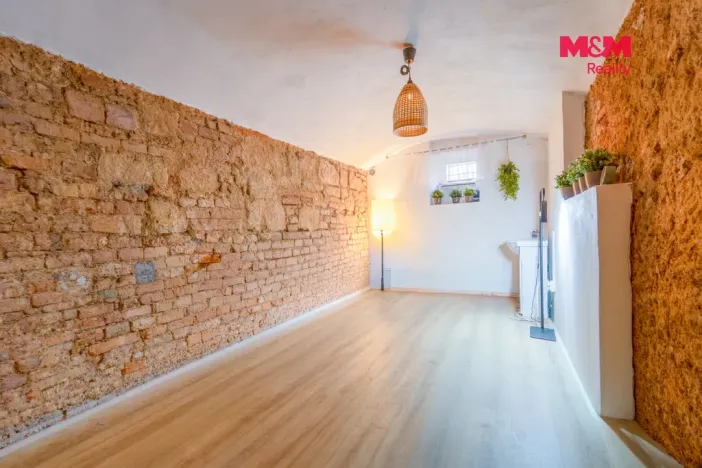 Pronájem obchodního prostoru, Plzeň - Východní Předměstí, Radyňská, 109 m2
