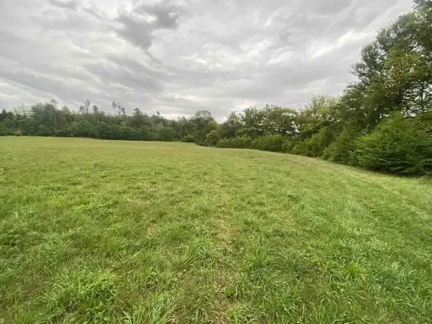 Dražba louky, Potštejn, 950 m2