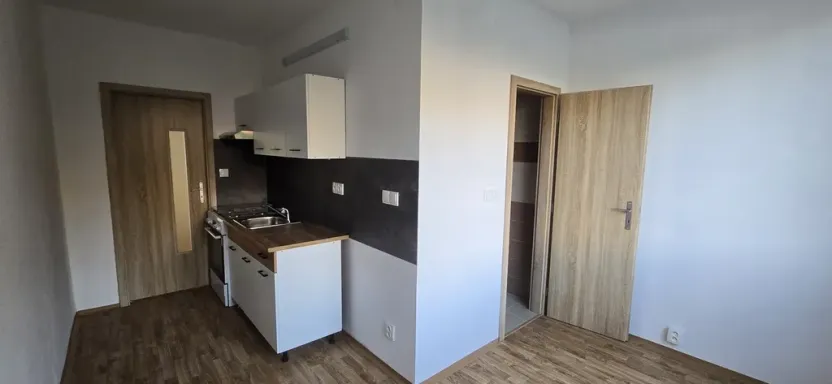 Pronájem bytu 1+1, Ústí nad Labem - Severní Terasa, Kmochova, 47 m2