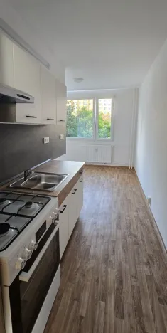 Pronájem bytu 1+1, Ústí nad Labem - Severní Terasa, Kmochova, 47 m2
