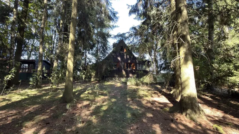 Prodej ostatní, Borová