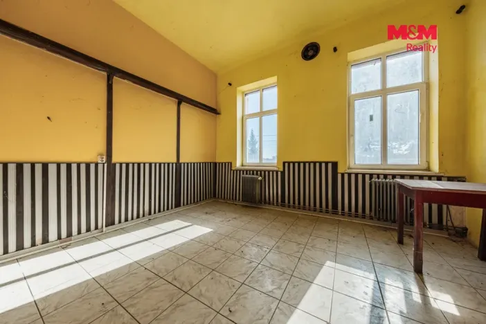 Prodej obchodního prostoru, Nová Ves - Vepřek, 600 m2