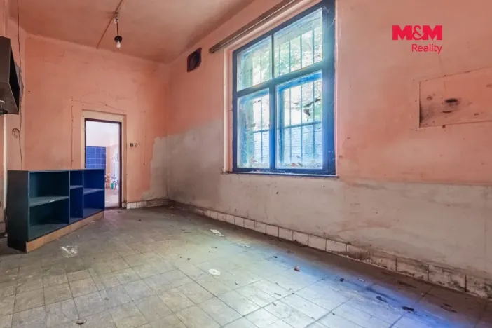 Prodej obchodního prostoru, Nová Ves - Vepřek, 600 m2