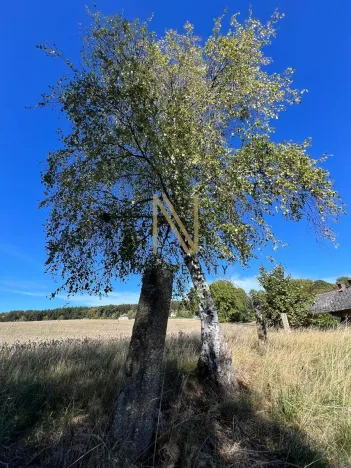 Prodej rodinného domu, Hazlov - Výhledy, 65 m2