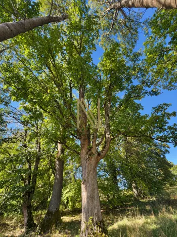 Prodej rodinného domu, Hazlov - Výhledy, 65 m2
