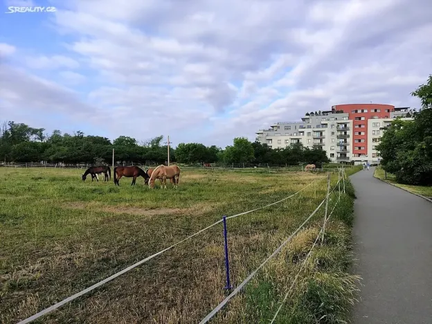 Prodej bytu 2+kk, Praha - Záběhlice, Mattioliho, 58 m2