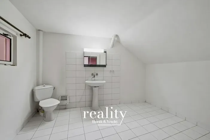 Prodej chalupy, Hrabětice, Hrušovanská, 158 m2