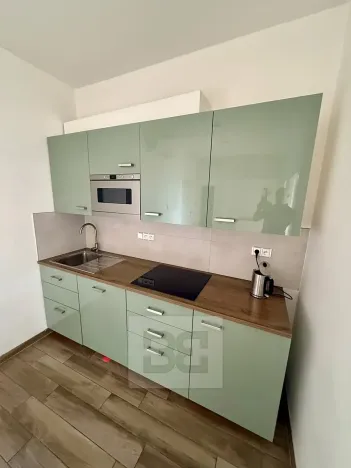 Pronájem bytu 2+1, Praha - Staré Město, Revoluční, 58 m2