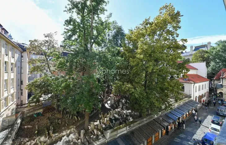 Pronájem bytu 2+kk, Praha - Josefov, Maiselova, 90 m2