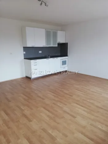Pronájem bytu 1+kk, České Budějovice - České Budějovice 3, Fráni Šrámka, 30 m2